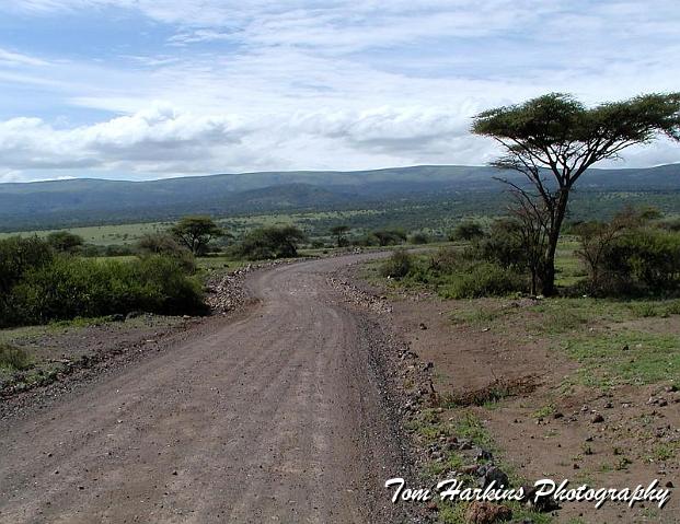 On the road out of Ngorongoro National Park.jpg